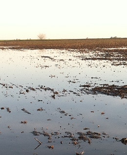 Flooded field – Illinois
