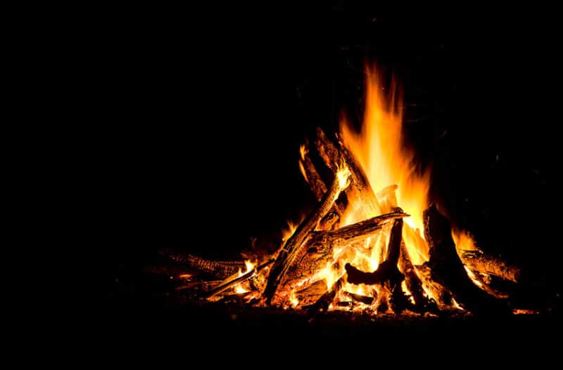 Need More Cold Weather, Warmer Markets Brandenburg Farms