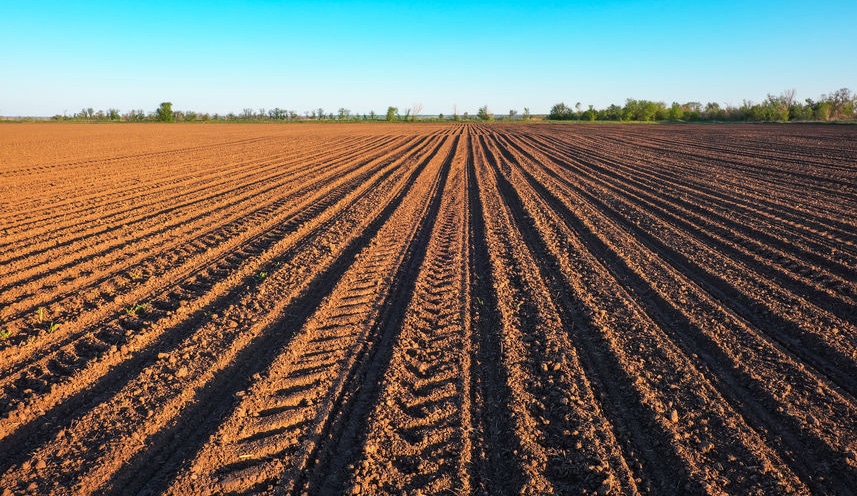 Spring-Planting-Field