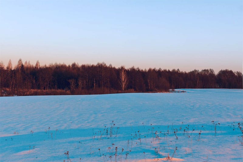 snow-field